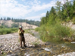 Fly Fishing in the Rocky Mountains (Fernie BC)