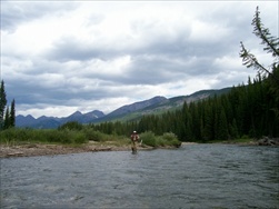 Fly Fishing in the Rocky Mountains (Fernie BC)