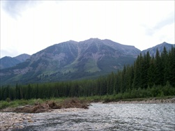Fly Fishing in the Rocky Mountains (Fernie BC)