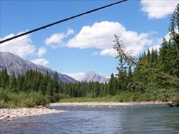 Fly Fishing in the Rocky Mountains (Fernie BC)