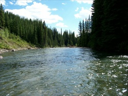 Fly Fishing in the Rocky Mountains (Fernie BC)
