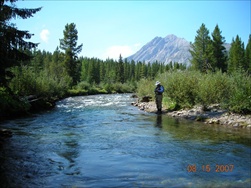 Fly Fishing in the Rocky Mountains (Fernie BC)