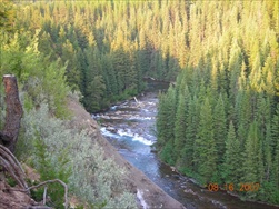 Fly Fishing in the Rocky Mountains (Fernie BC)