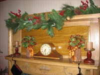 Disney Santa Paws 2 (Renolds house) set at the Old Nurses Residence B&B.