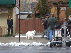 October 17,2011 - Downtown.