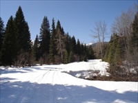 Cross Country Skiing (Fernie BC) 