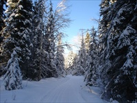 Cross Country Skiing (Fernie BC) 