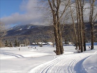 Cross Country Skiing (Fernie BC) 