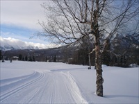 Cross Country Skiing (Fernie BC) 