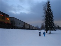 Cross Country Skiing (Fernie BC) 