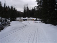 Cross Country Skiing (Fernie BC) 