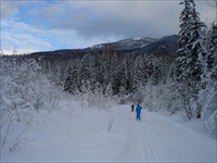 Cross Country Skiing (Fernie BC) 